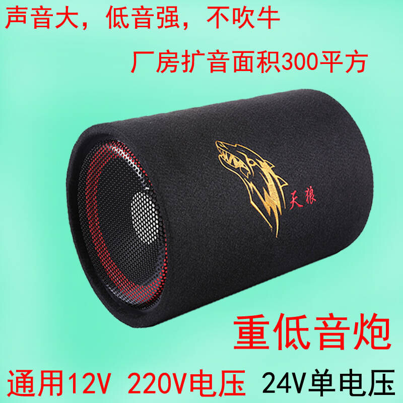天狼音响车载低音炮选购指南 10寸圆筒与6寸家用的全面解析